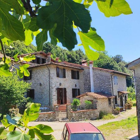 Cara House Tuscany - Zona Lucca Chiatri Bagian luar foto