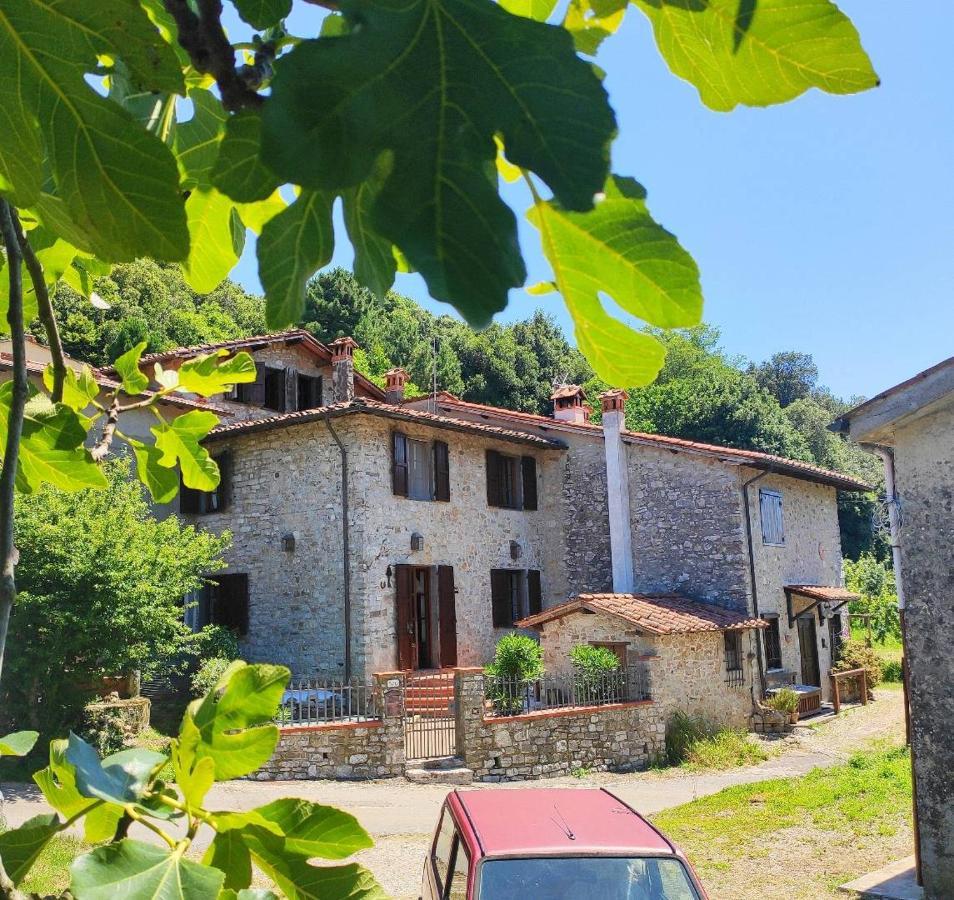 Cara House Tuscany - Zona Lucca Chiatri Bagian luar foto